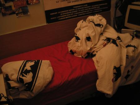 Tous des chiens ?
